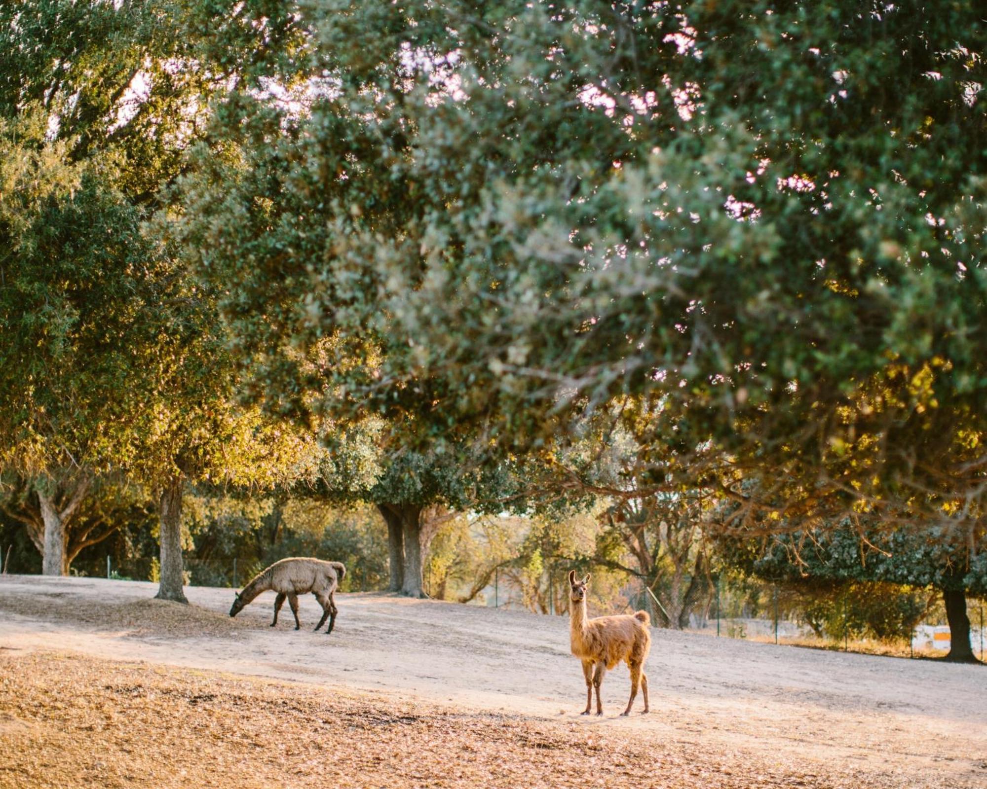Domaine Naturiste De Riva Bella